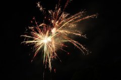 t_IMG_5396.jpg